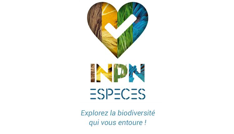 Responsive image1